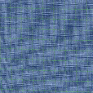 Blue with Green Shirting