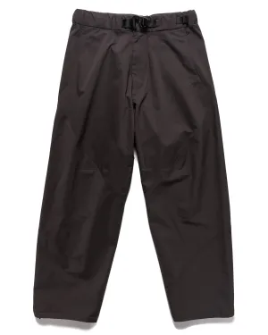 Helicoid Wide Pants Biotite