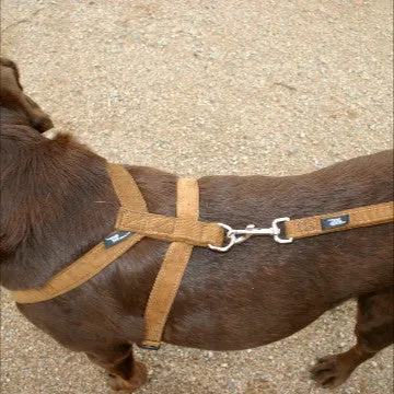 Hemp Dog Harness BRONZE Corduroy