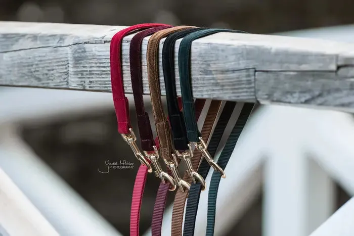 Kentucky Dog Lead Corduroy Pine Green