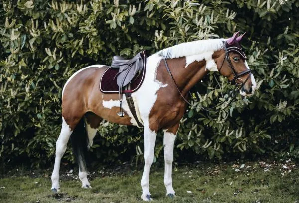 Saddle Pad Corduroy