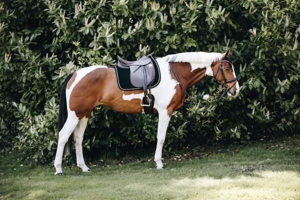 Saddle Pad Corduroy