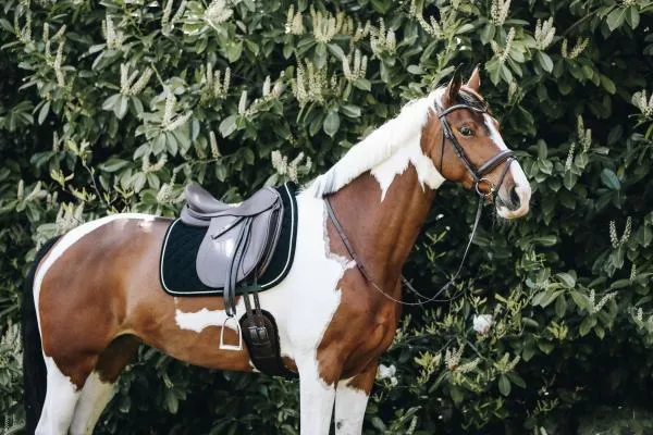 Saddle Pad Corduroy
