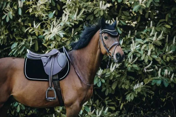 Saddle Pad Corduroy