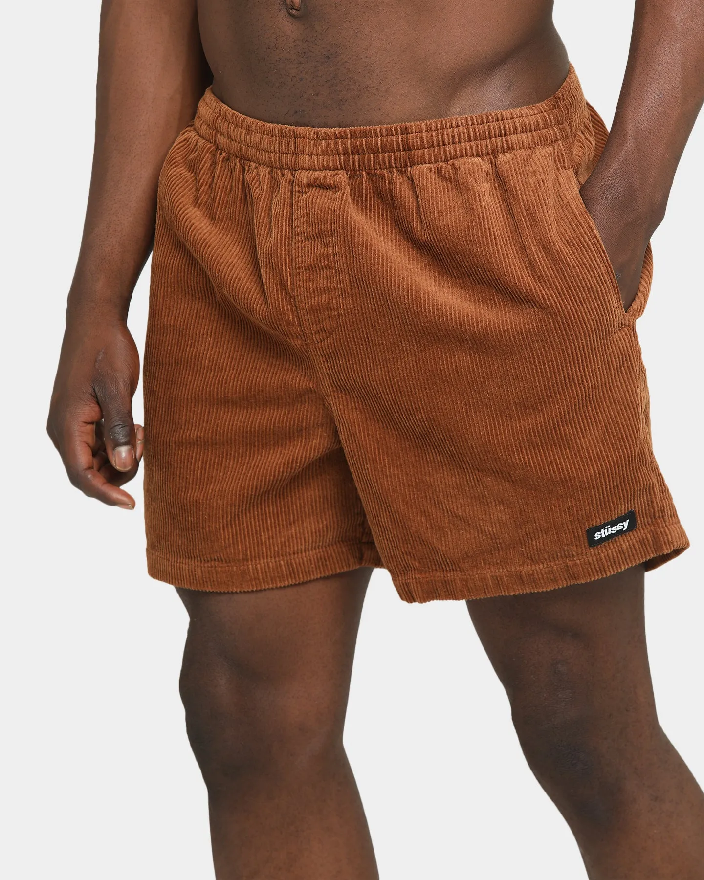 Stussy Cord Big Beachshort Caramel
